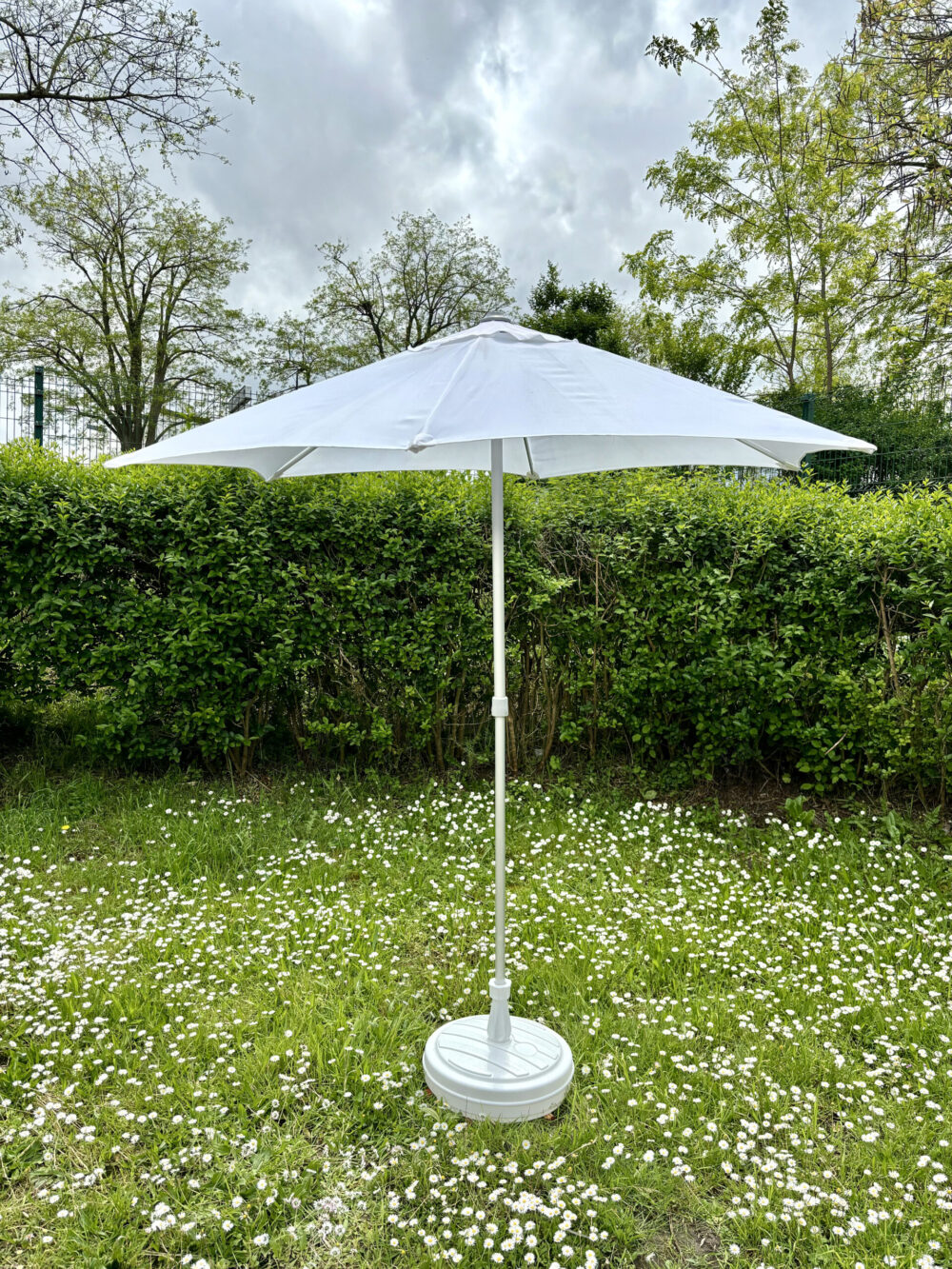 Parasol